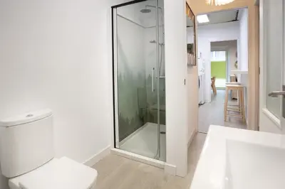 a bathroom with a shower and a toilet at Riquiña Celanova in Celanova