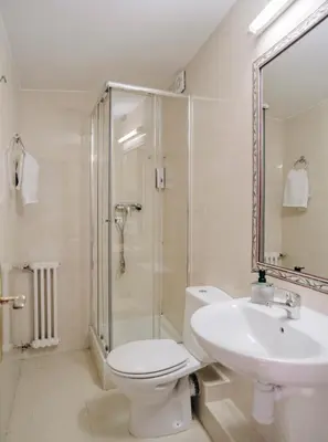 a bathroom with a toilet and a shower and a sink at Hospedaje Ramos in Santiago de Compostela