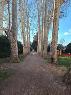a dirt road with trees on both sides at Jardines in O Barco de Valdeorras