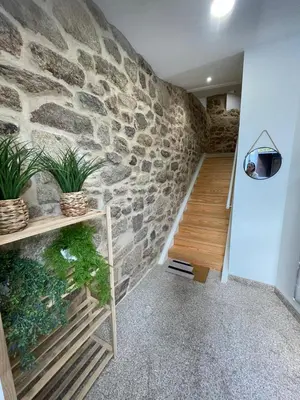 a room with a stone wall and some plants at Apartamentos SARABIA LOFT in Ourense