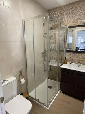 a bathroom with a shower and a toilet and a sink at Apartamentos SARABIA DARRIBA in Ourense