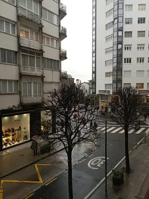 a city street with two trees in front of buildings at Pardiñas 36 in Santiago de Compostela
