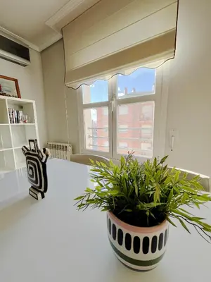 a potted plant sitting on a counter in a kitchen at Dúplex Valle del Silencio in Ponferrada