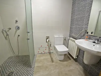 a bathroom with a shower and a toilet and a sink at Albergue Pereiro in Melide