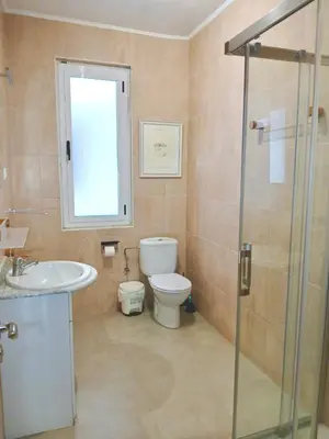 a bathroom with a toilet and a sink and a shower at Segundo Antolín Yellow Door in Ponferrada