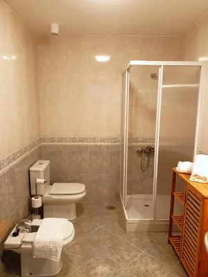 a bathroom with a toilet and a shower at O Soño de Santiago - Casa rural Mondoñedo, Galicia in Mondoñedo