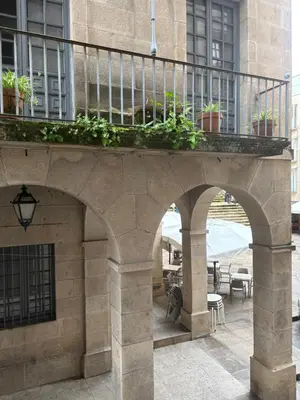 a balcony with potted plants on a building at LAS TERRAZAS II Apartamento de lujo frente a la Catedral in Ourense