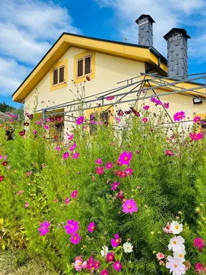 a house with flowers in front of it at El Rincón de la Mimosa in Vega de Espinareda