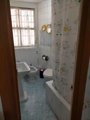 a bathroom with a toilet and a shower curtain at Apartamento Casco Viejo in Ourense