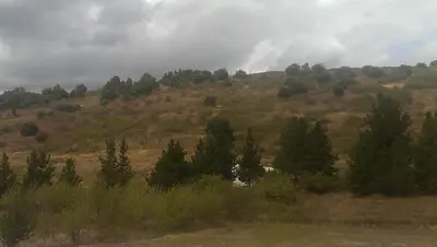 a hillside with trees on the side of a field at NRuta Ponferrada in Bembibre