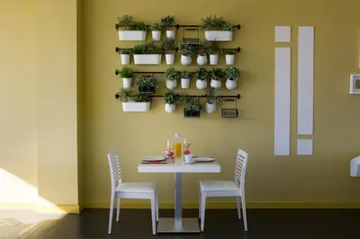 a dining room with a table with chairs and plants at NRuta Ponferrada in Bembibre