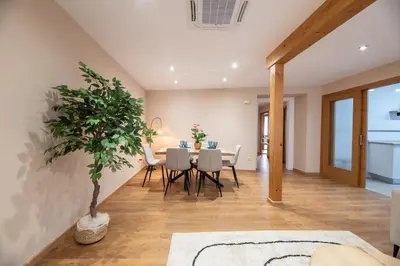a dining room with a table and a potted tree at SACRA apartamentos turísticos in Monforte de Lemos