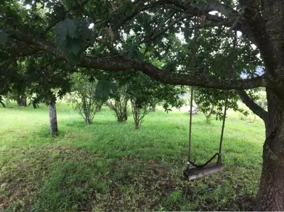 a swing hanging from a tree in a field at Casa Eudosia, Tenorio in Barro