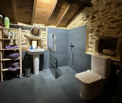 a bathroom with a sink and a shower and a toilet at Ca Manín in Tineo