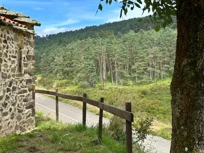a fence on the side of a road next to a tree at Ca Manín in Tineo