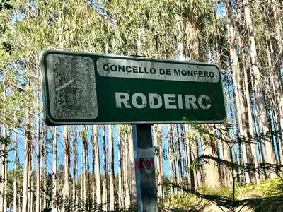 a green street sign in front of some trees at Casa Camiño do Eume in A Coruña