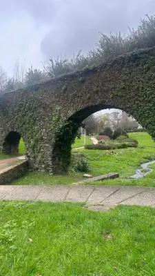 an ivy covered stone bridge over a field of grass at Apartamento Santiago in Santiago de Compostela