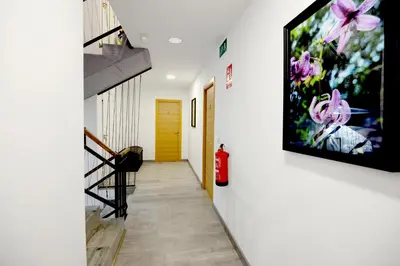 a hallway with a tv hanging on a wall at Hostel El Campano in Villafranca del Bierzo