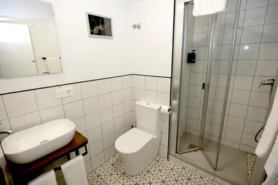 a bathroom with a toilet and a shower at Hostel El Campano in Villafranca del Bierzo