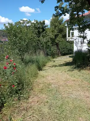 a garden with red flowers and a white house at O Salgueiral in Castro Caldelas