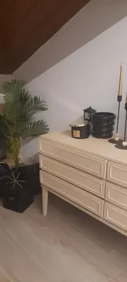 a bedroom with a dresser and a potted plant at El nido del cuco in Padrón