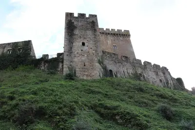 an old castle on top of a grassy hill at Delta in Monforte de Lemos