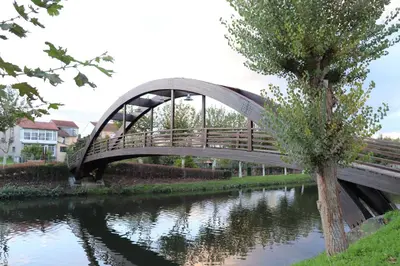 a wooden bridge over a river with a tree at Delta in Monforte de Lemos