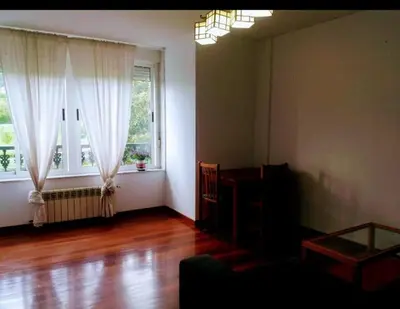a living room with a couch and two windows at PISO DEL PARQUE 2 in Santiago de Compostela