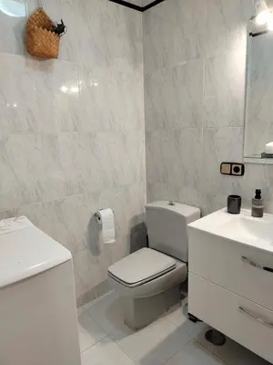a white bathroom with a toilet and a sink at PONFETEMPLE in Ponferrada