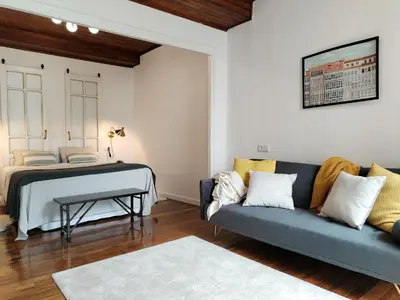 a living room with a couch and a bed at Steve Apartamento in Viveiro
