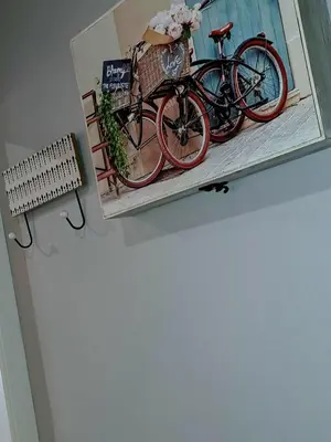 a picture of a bike on a shelf on a wall at Piso en Ourense- Sempre Maruxiña in Ourense