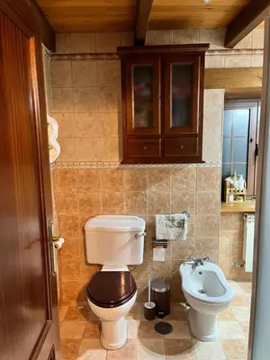 a bathroom with a toilet and a sink at CASA GALLARDO in Ribadeo