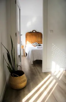 a bedroom with a bed and a potted plant at Apartamento El descanso de Fuco in Molinaseca