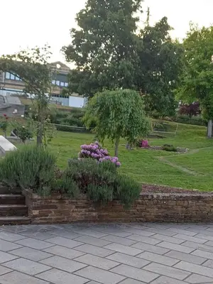 a garden with purple flowers and a brick wall at Apartamentos O Caneiro in Portomarin
