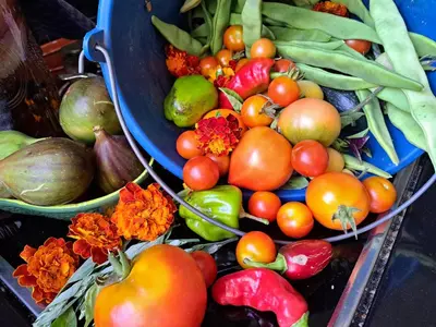 a bunch of fruits and vegetables on a table at Casa Natura Galicia in Santa María La Mayor del Rosario