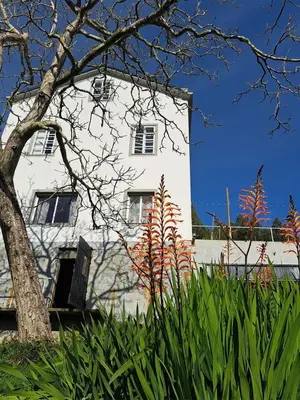 a white building with a tree and some plants at Casa Natura Galicia in Santa María La Mayor del Rosario