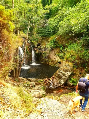 a man and a dog standing in front of a waterfall at Casa Natura Galicia in Santa María La Mayor del Rosario