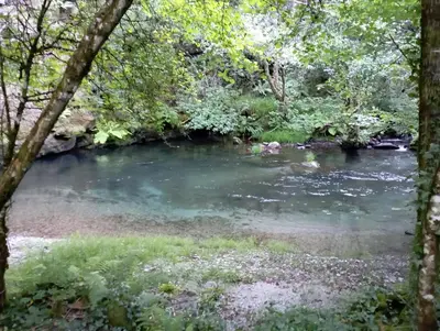 a pool of water in a river with trees at A casa dos carros - AS CASAS DO POZO - in Folgoso
