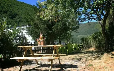 a wooden picnic table with chairs and a tree at Casa Rural La Fuente in Tejedo del Sil