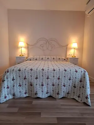a bedroom with a bed with two lamps on two tables at Areal in Beade