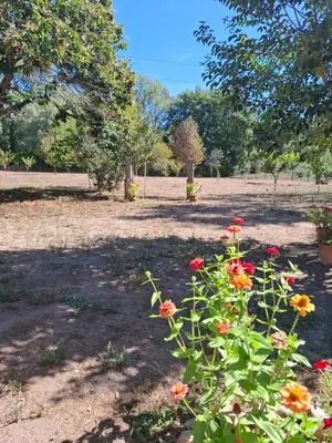 a garden with flowers in the middle of a field at Areal in Beade