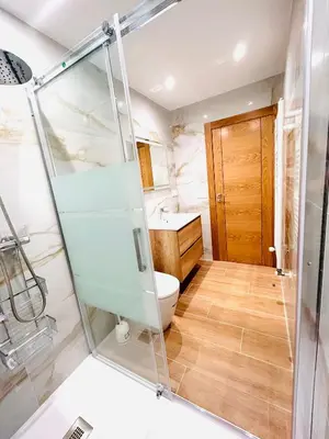 a bathroom with a shower and a toilet and a sink at Apartamento San José in Milladoiro
