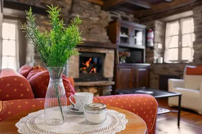 a vase of flowers on a table with a fireplace at Apartamentos rurales Casa Xepo in Rengos