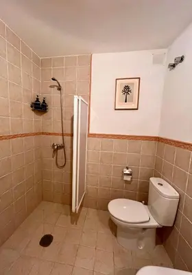 a bathroom with a toilet and a shower at Casa María da Reza in Ribadavia