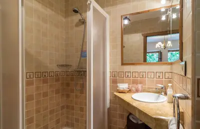 a bathroom with a shower and a sink and a mirror at Habitaciones - La Pumarada de Limés I in Cangas del Narcea