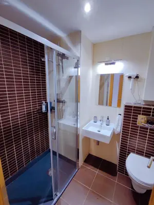 a bathroom with a shower and a sink and a toilet at Vivienda Novo Betanzos in Betanzos