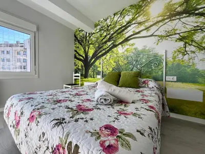 a bedroom with a large bed with a window at Romero AP in Santiago de Compostela