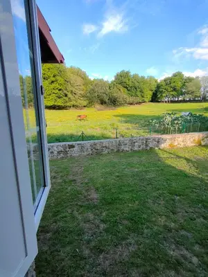 a window view of a field with a horse in the distance at Casa Telmo in Acova