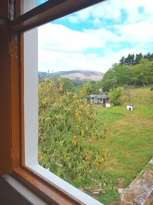 a window with a view of a field with a horse at Casa Calvo in Vivero