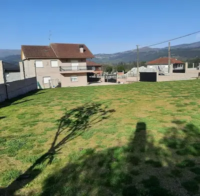 a shadow of a tree in a field with a house at Fogar dos Petellos, Mondariz. in Mondariz